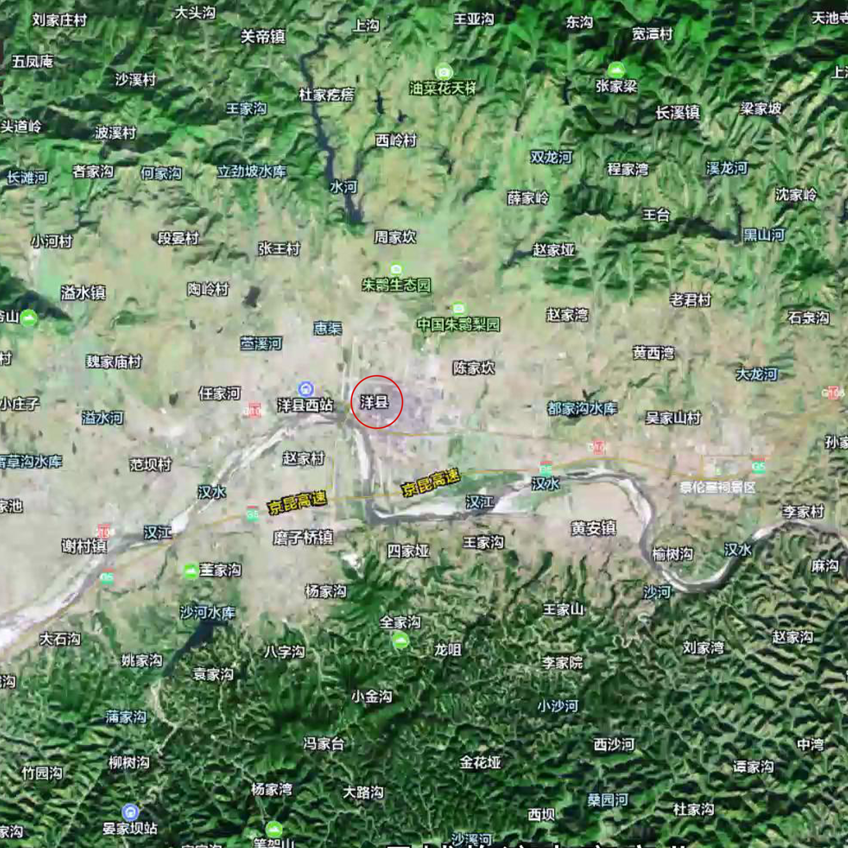 洋縣雙亞周大黑-物流配送